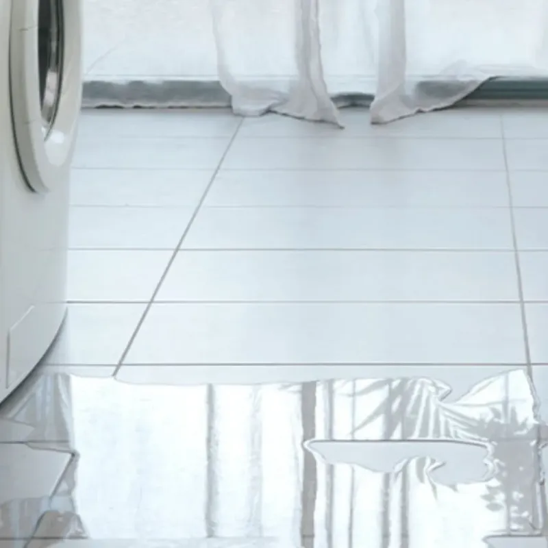 Appliance Leak Cleanup in Lochearn, MD