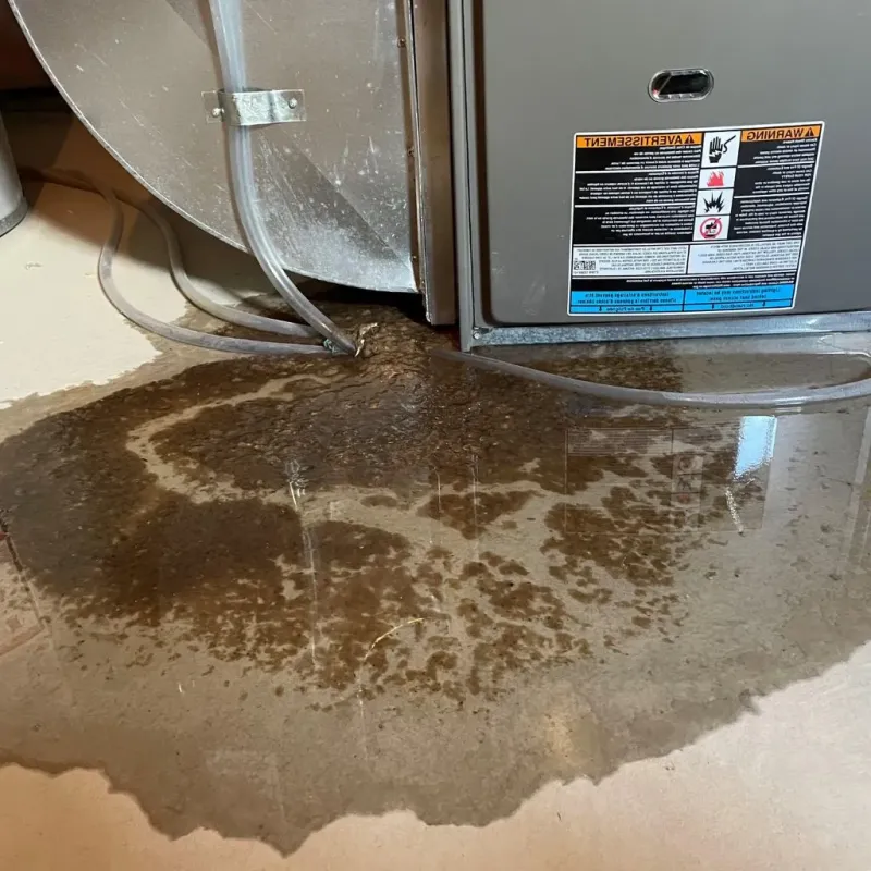 Pipe Burst and Leak Restoration in Lochearn, MD