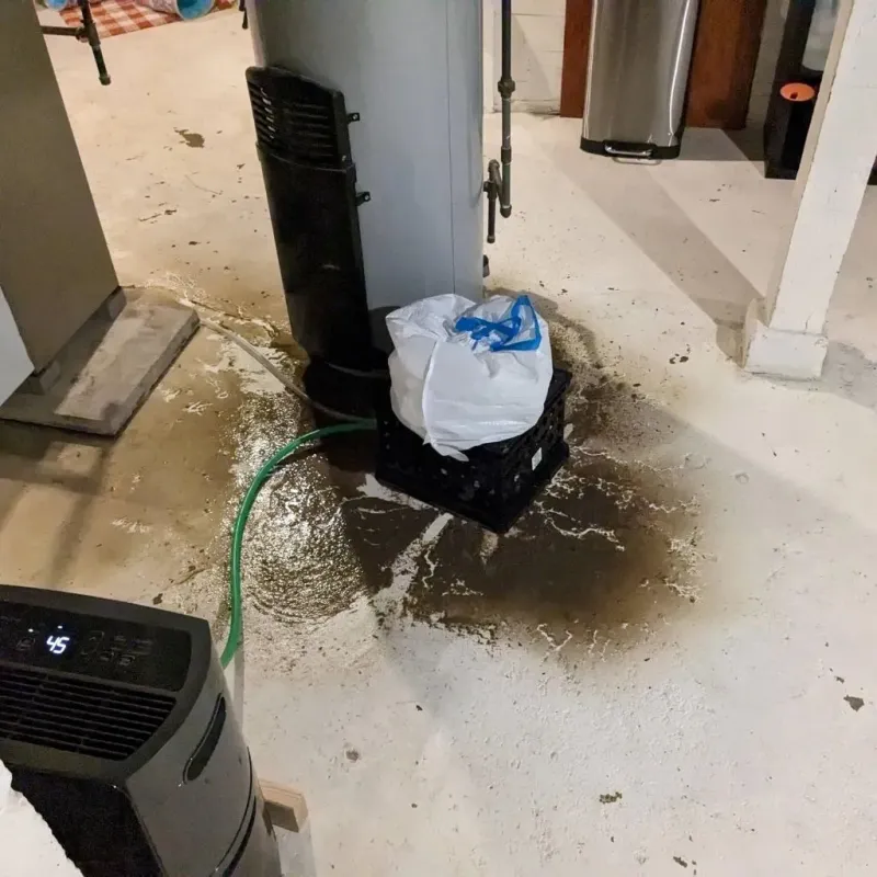 Sewage Backup Cleanup Service in Lochearn, MD